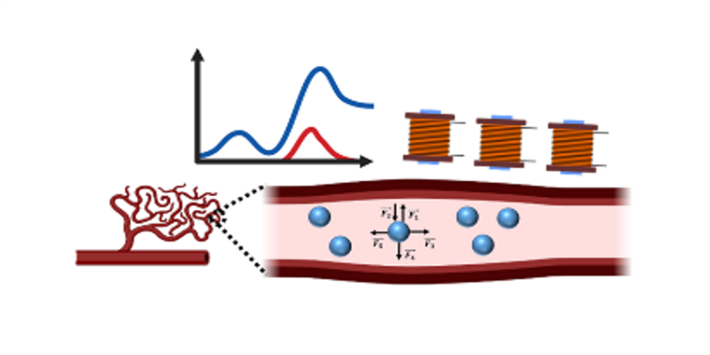 A schematic picture of magnetic particles within blood vessels, a diagram and magnetic field inducers