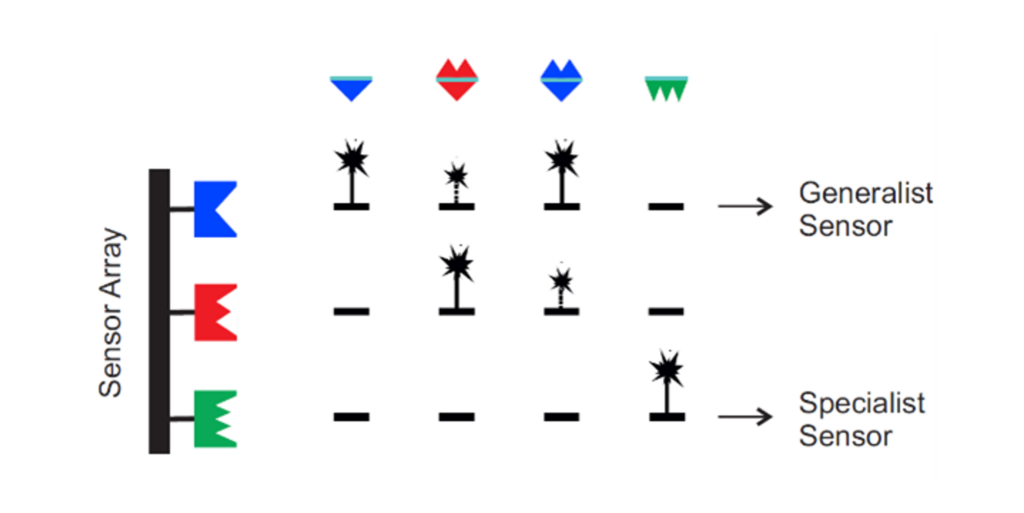 Schmatic picture of a sensor array, diffrent molecule mixtures and activation/no activation response to them depending on a type of sensor