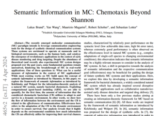 A front page of the accepted publication