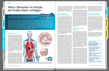 Screen shot of the article in Ärzteblatt