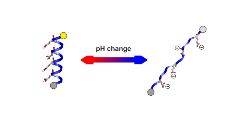 Featured image for Project P2