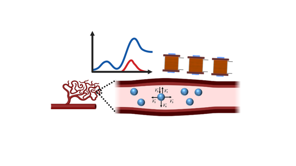 Symbol picture - a blood vessel with magnetic particles in it and magnets to control the particle movement