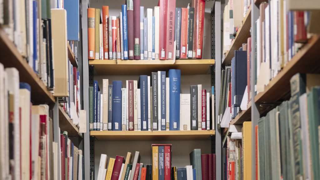 Symbol picture - shelfs full iwth books and publications